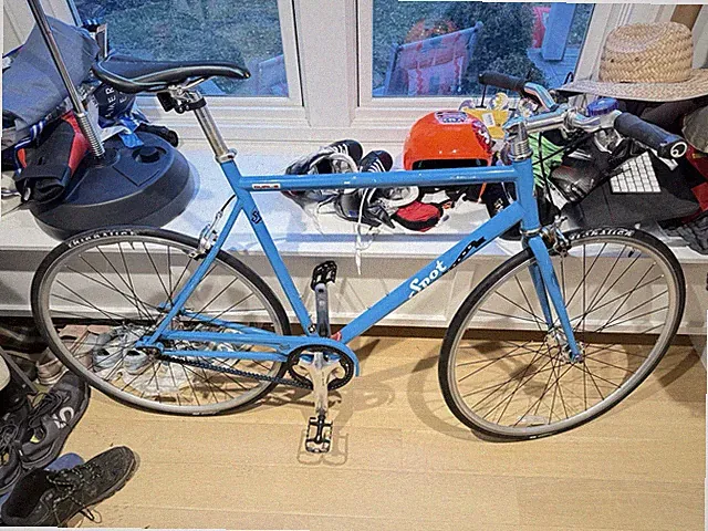 Spot Bike, Belt Drive, Dualie, 2 Speed, Blue, Large Frame