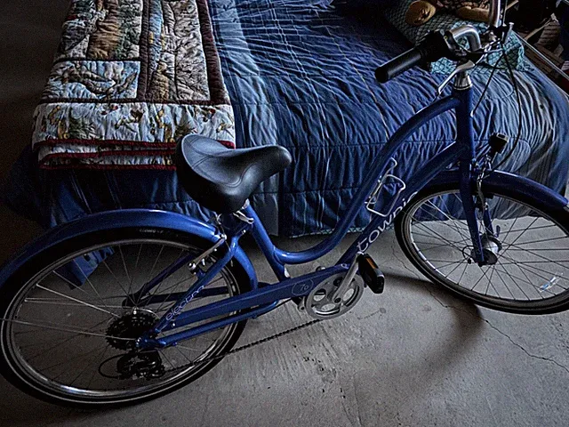 Townie Bicycle electra 7d